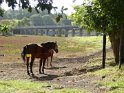 2019-09-27 11-23-43 Passerelle de la Cotiere FGn
